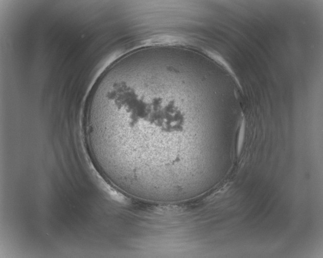 X0000061741091200512161643