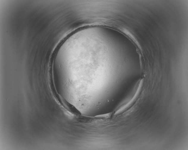 X0000061741093200512161643