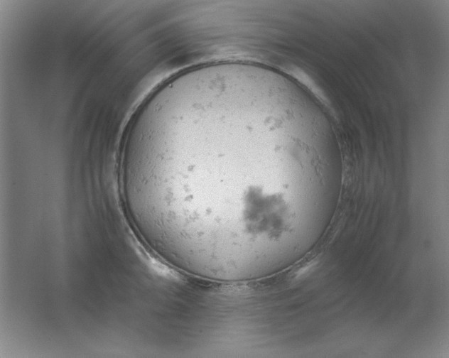 X0000061741094200512161643