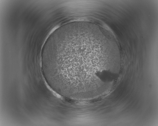 X0000061741095200512161643