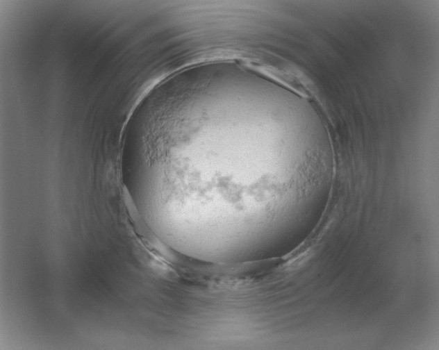 X0000061741097200512161643