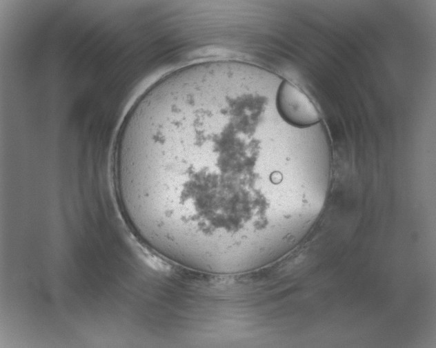 X0000061741098200512161643