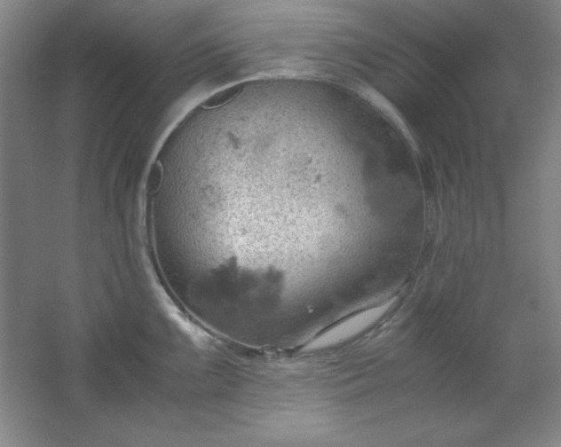 X0000061741099200512161643