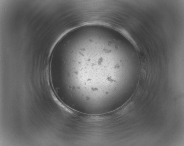 X0000061741100200512161643