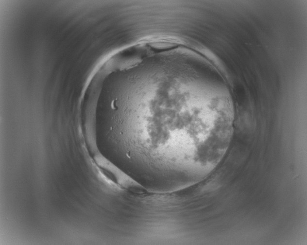 X0000061741102200512161643