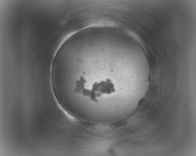 X0000061741103200512161643