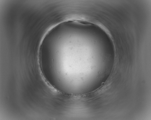 X0000061741104200512161643