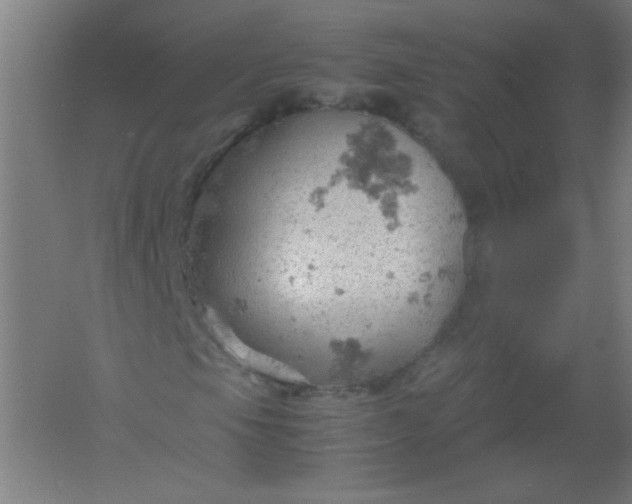 X0000061741105200512161642