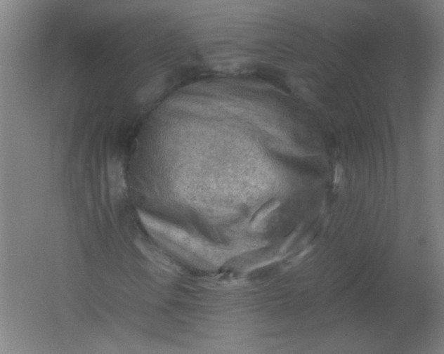 X0000061741106200512161642