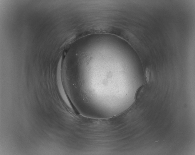 X0000061741107200512161642