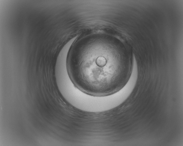 X0000061741108200512161642