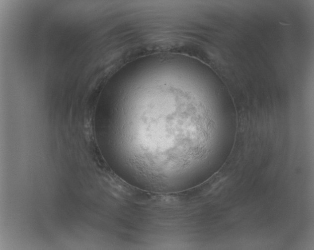 X0000061741109200512161642