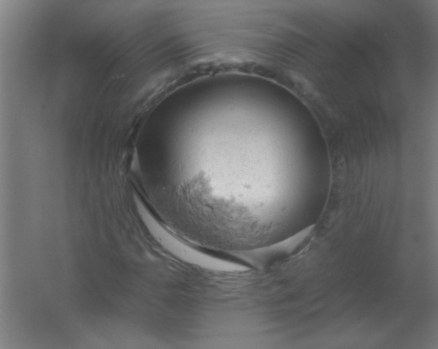 X0000061741110200512161642