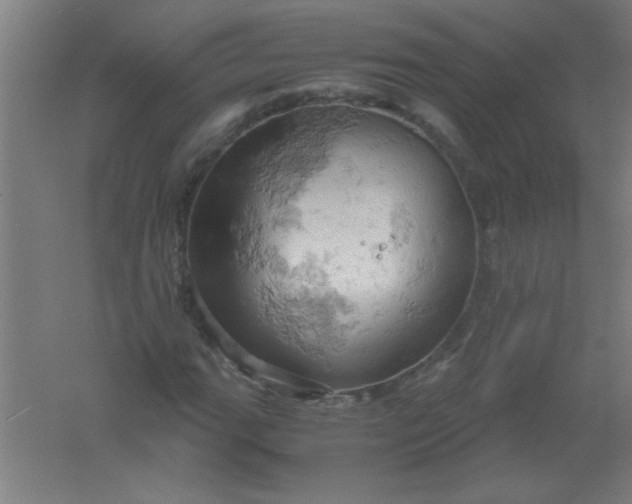 X0000061741111200512161642