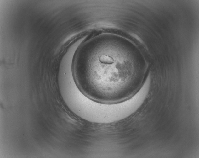 X0000061741112200512161642