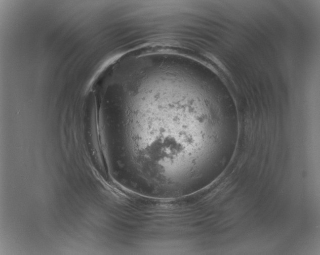 X0000061741115200512161642