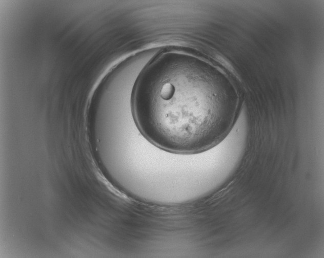 X0000061741116200512161642