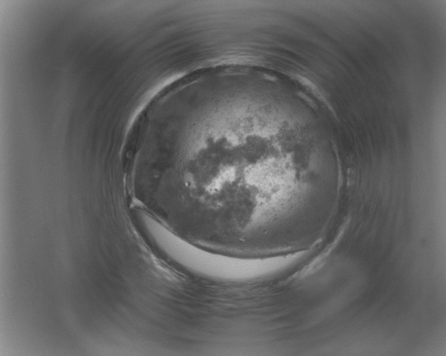 X0000061741117200512161642