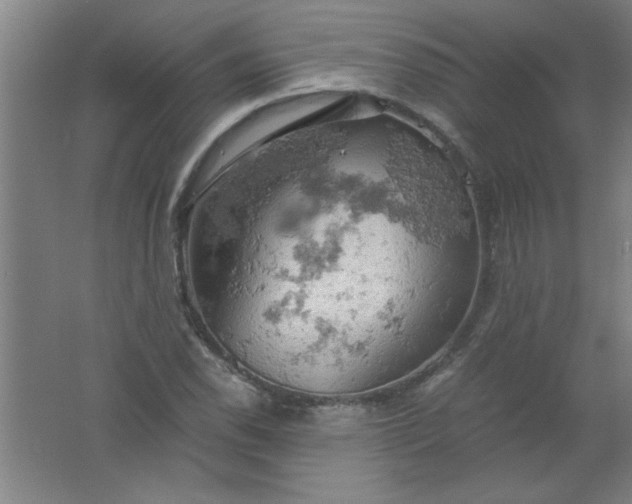 X0000061741118200512161642