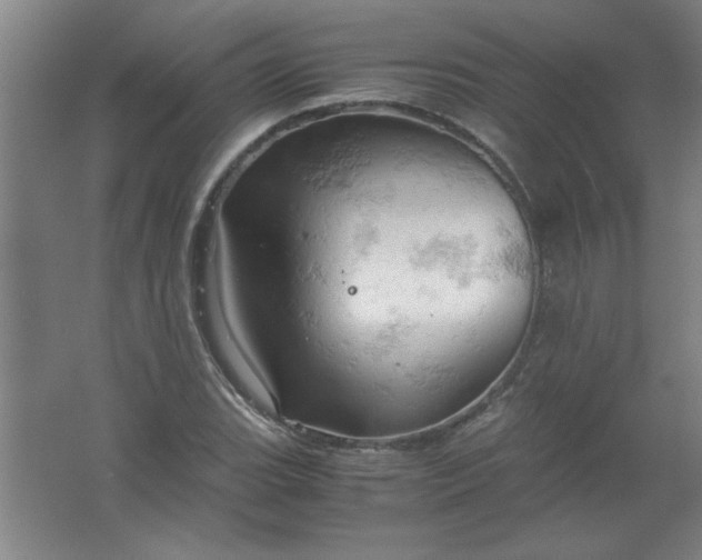 X0000061741119200512161642