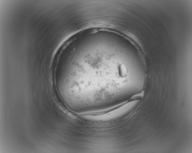 X0000061741120200512161642