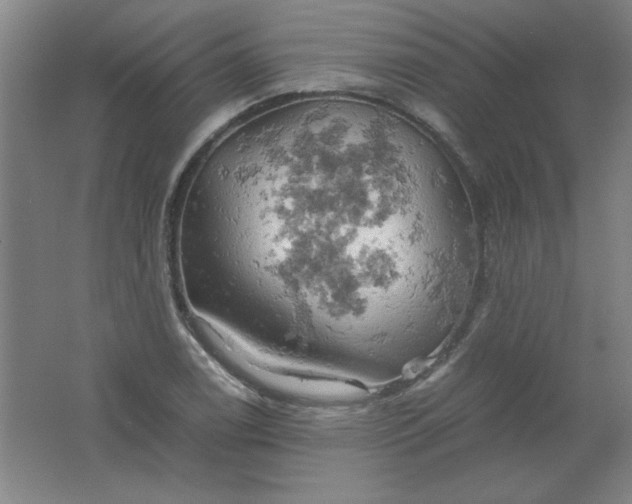 X0000061741122200512161642