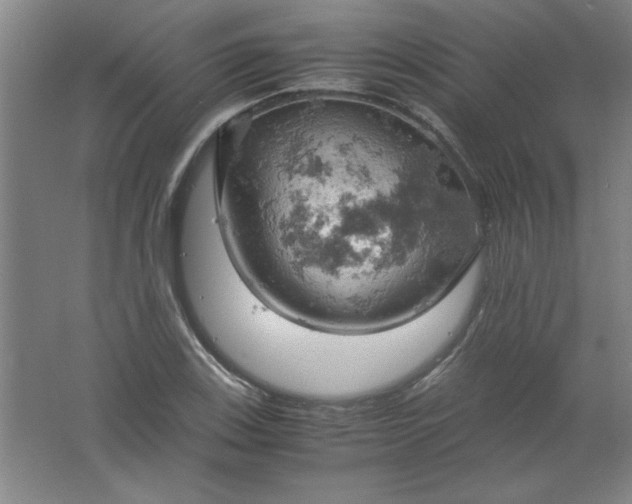 X0000061741123200512161642