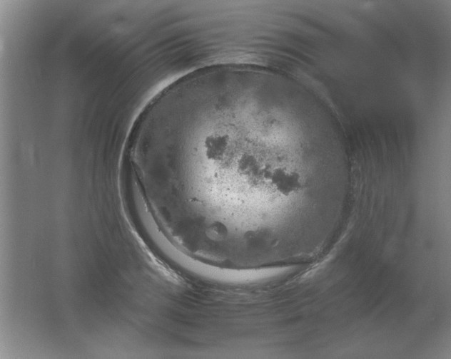 X0000061741125200512161642