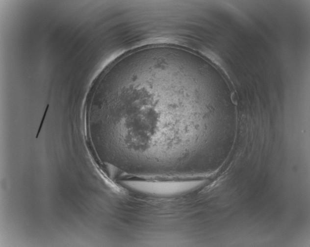 X0000061741127200512161642