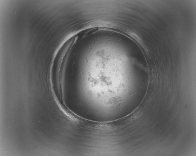 X0000061741128200512161642