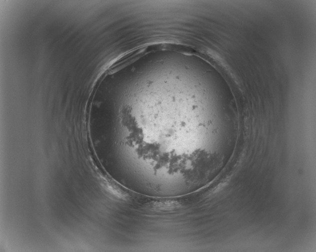 X0000061741129200512161642