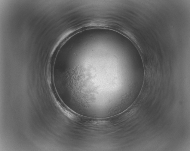 X0000061741131200512161642