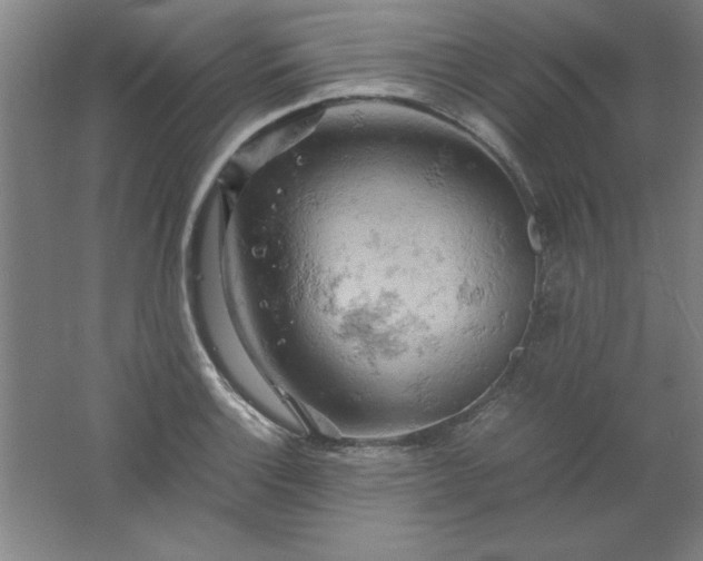 X0000061741132200512161642