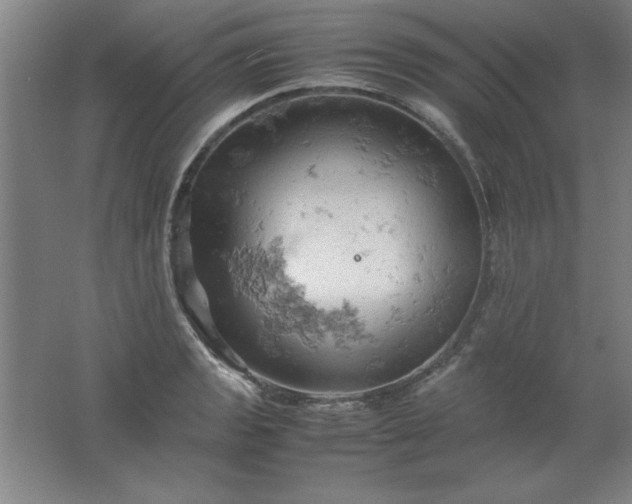 X0000061741133200512161642