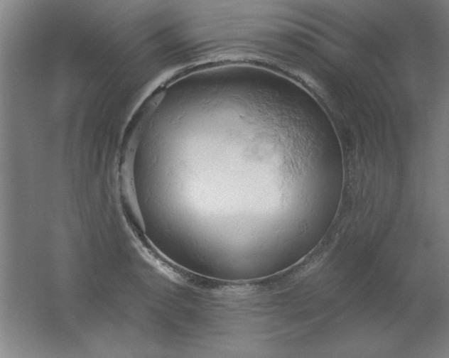 X0000061741134200512161643