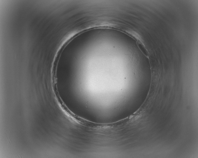 X0000061741135200512161643