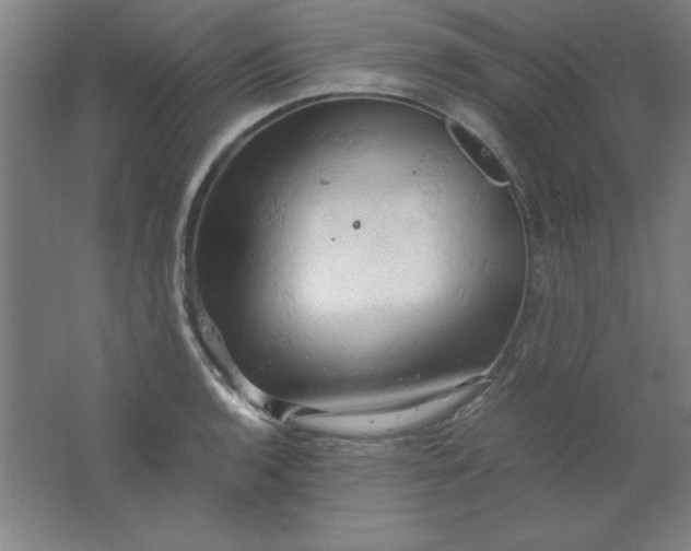 X0000061741136200512161643