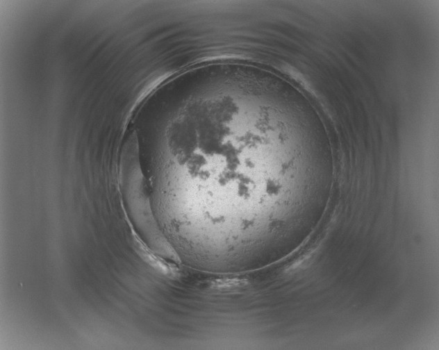 X0000061741137200512161643