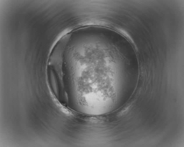 X0000061741138200512161643