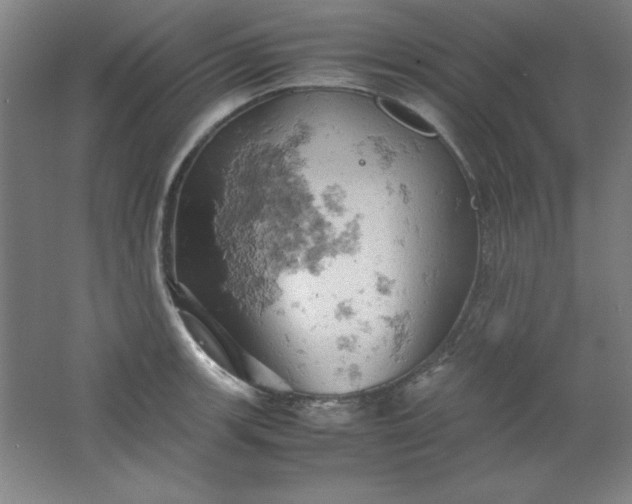 X0000061741139200512161643