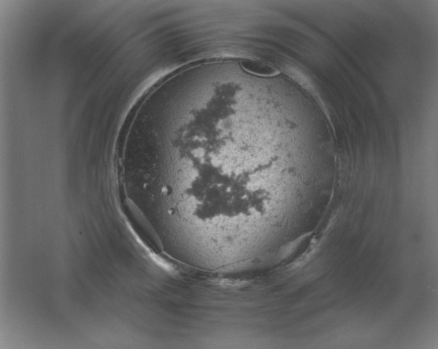 X0000061741141200512161643