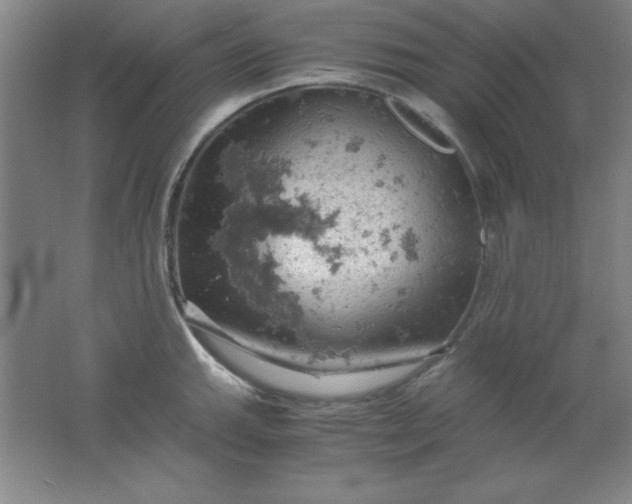 X0000061741143200512161643