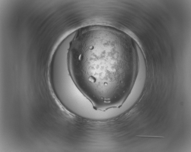 X0000061741144200512161643