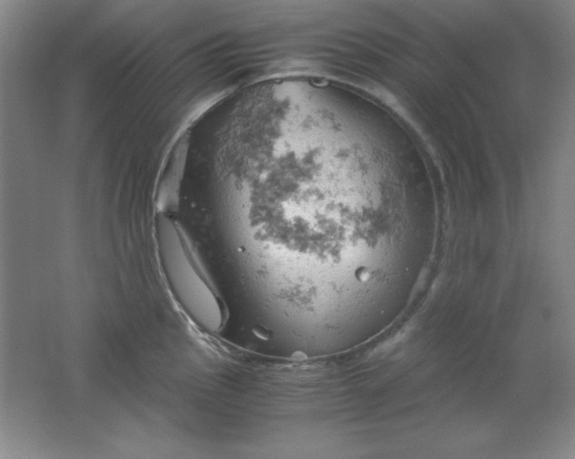 X0000061741145200512161643