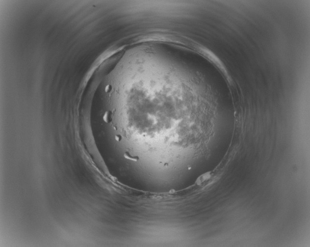 X0000061741146200512161643