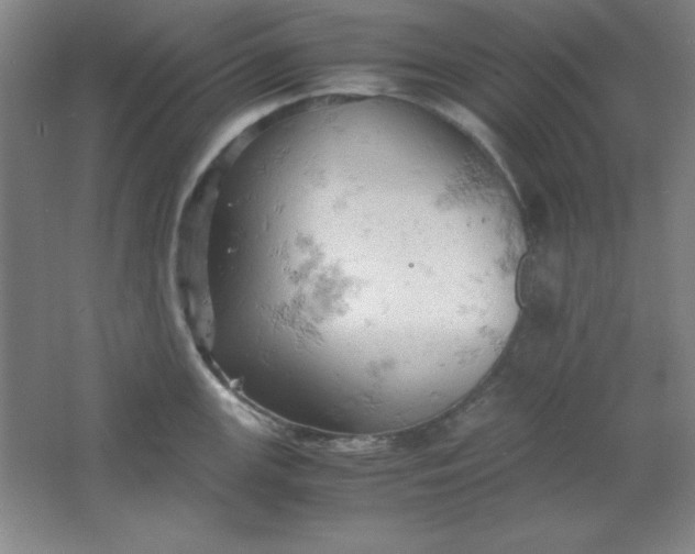 X0000061741147200512161643