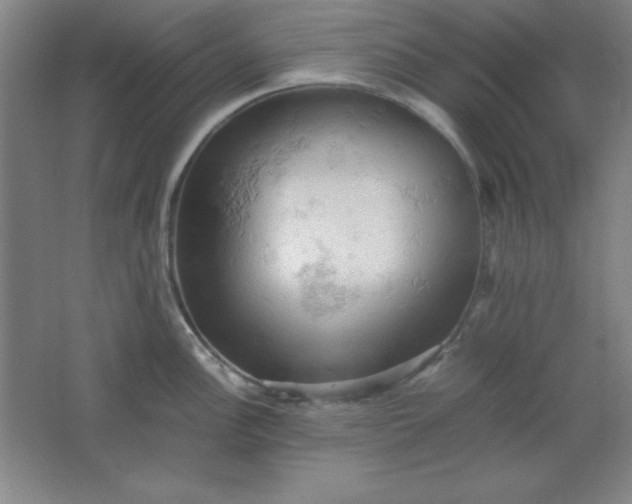 X0000061741148200512161643