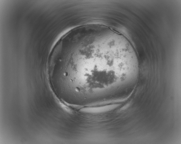 X0000061741149200512161643