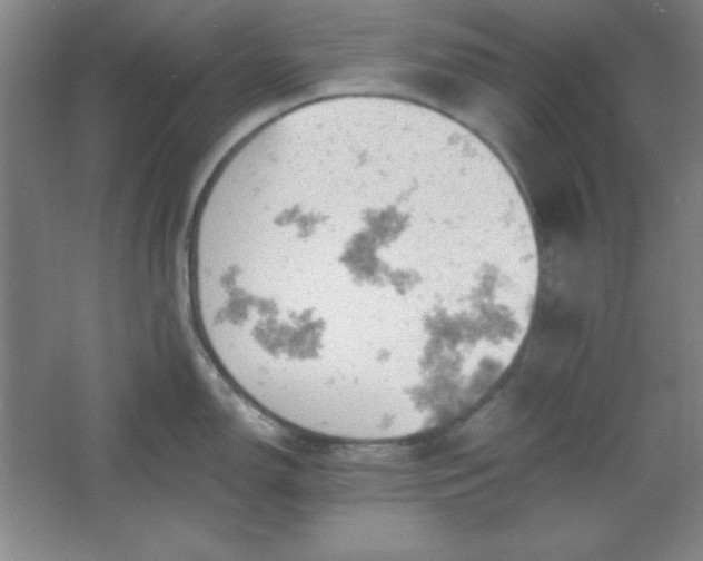 X0000061741150200512161643