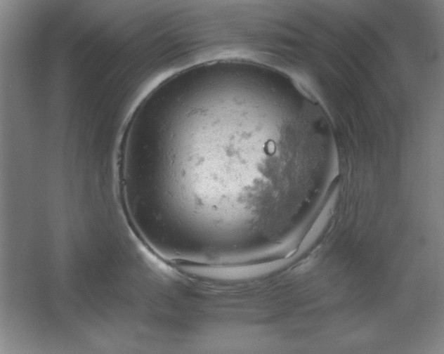 X0000061741151200512161643